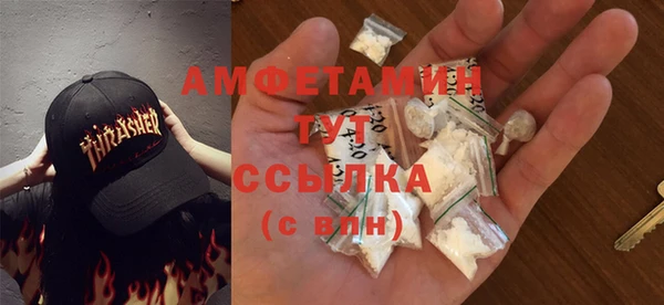 индика Балабаново
