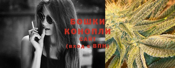 индика Балабаново