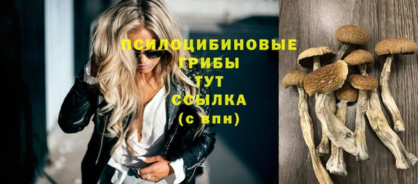 индика Балабаново