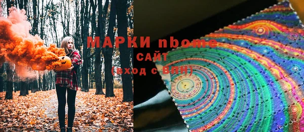 индика Балабаново