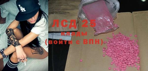 индика Балабаново