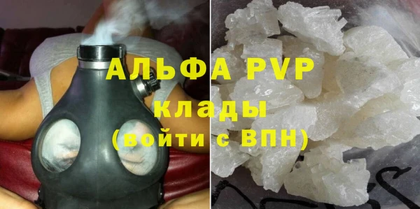 индика Балабаново