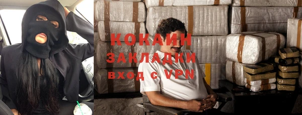 индика Балабаново