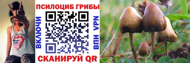 Псилоцибиновые грибы мухоморы купить наркотик Куртамыш