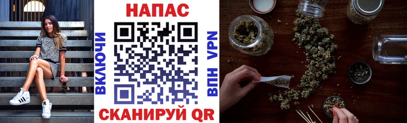 OMG как войти  Куртамыш  Бошки Шишки сатива  хочу  